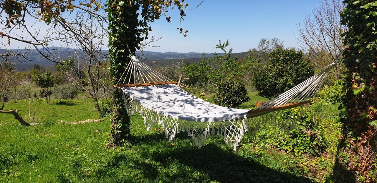 Casa Belavista Penela - Charming Guest House - Adults Only Kültér fotó