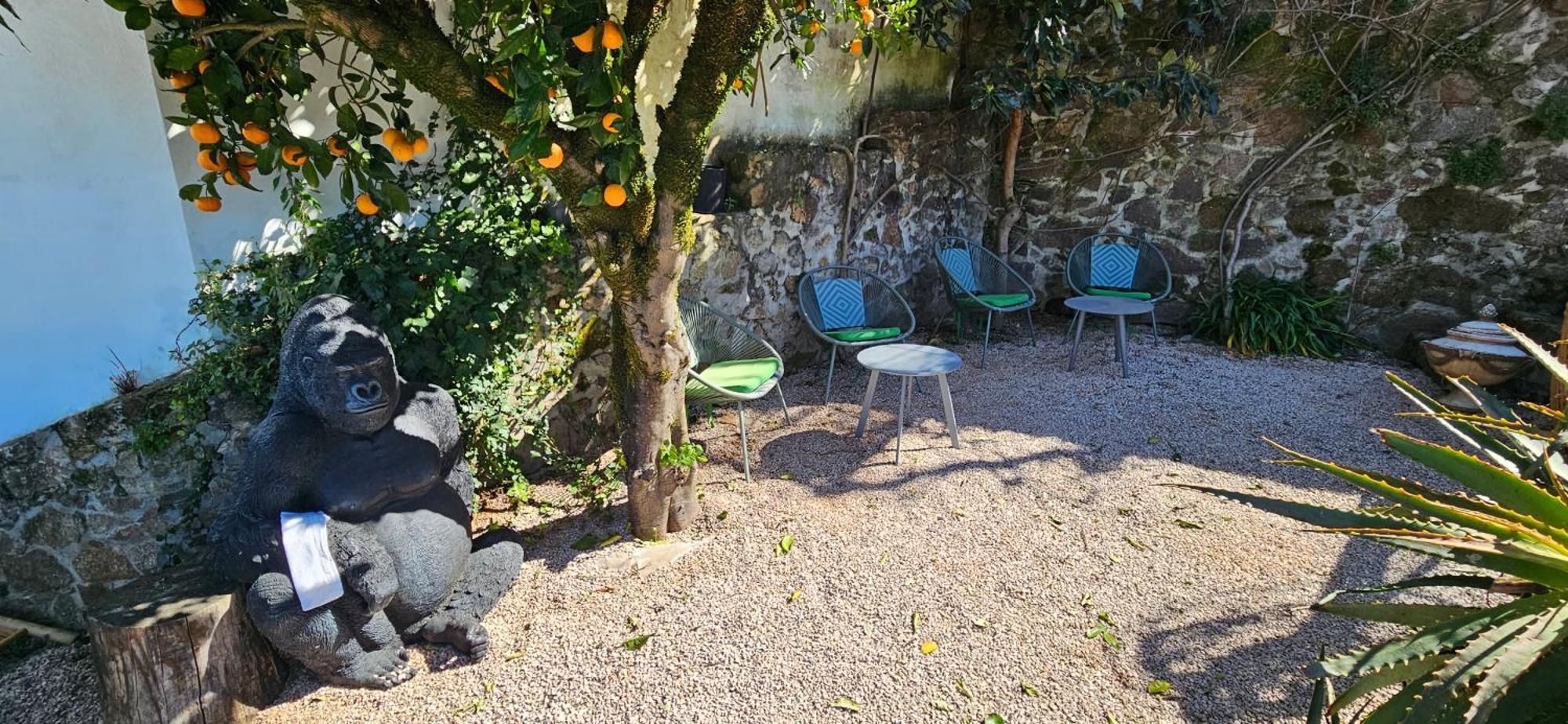 Casa Belavista Penela - Charming Guest House - Adults Only Kültér fotó